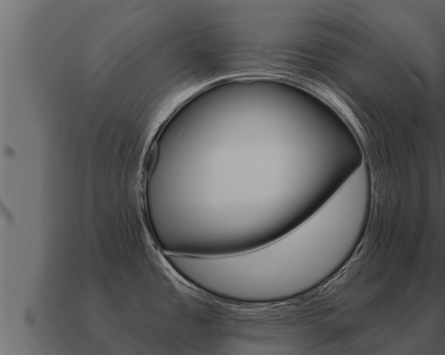 X0000091101485200708061010