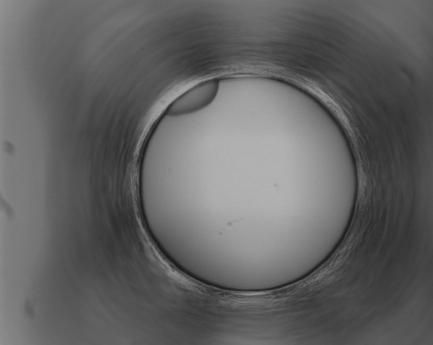X0000091101486200708061010