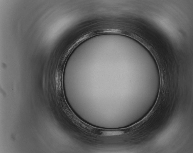 X0000091101487200708061010