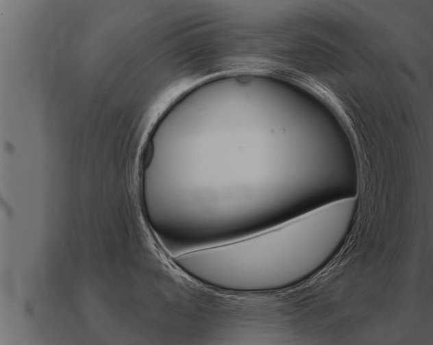 X0000091101488200708061010