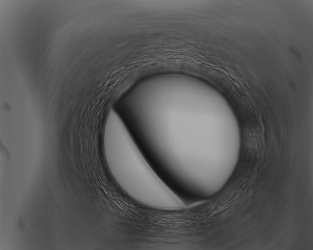 X0000091101489200708061009
