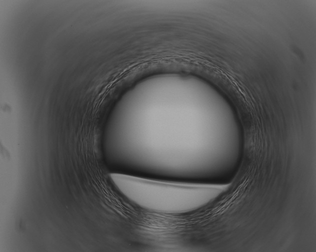 X0000091101490200708061010