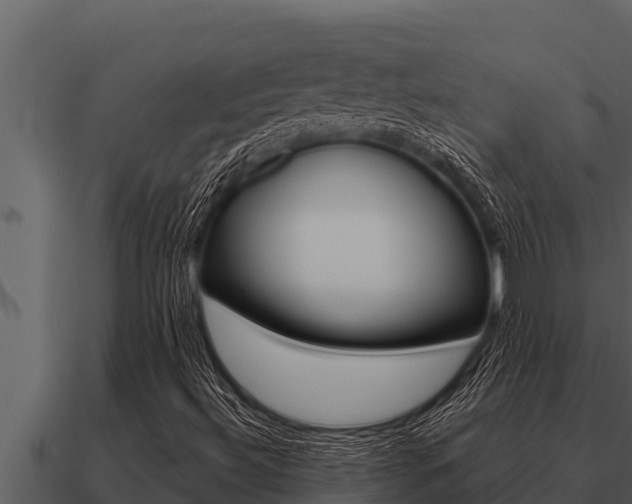 X0000091101492200708061010