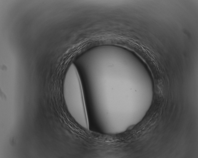 X0000091101493200708061010