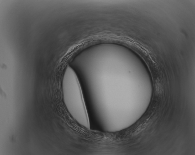 X0000091101494200708061010