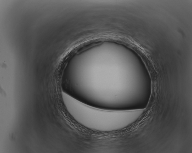 X0000091101496200708061010