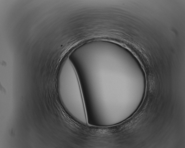 X0000091101497200708061010