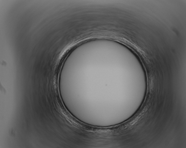 X0000091101498200708061010