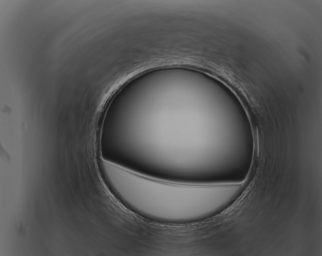 X0000091101500200708061010