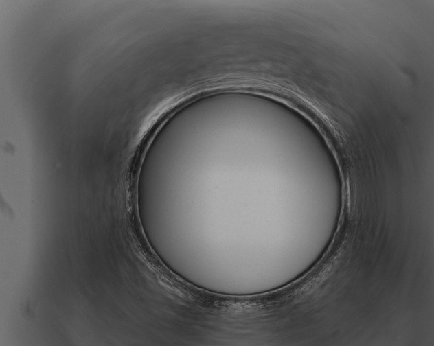 X0000091101501200708061010