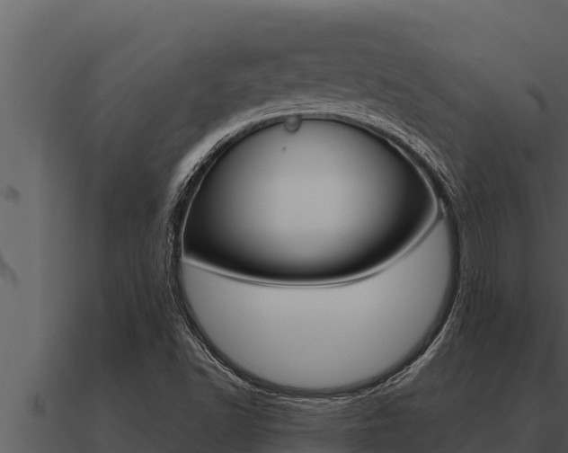 X0000091101502200708061010