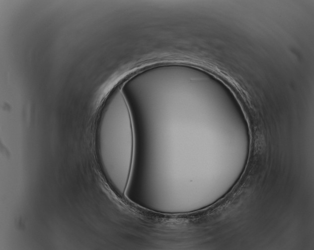 X0000091101503200708061010