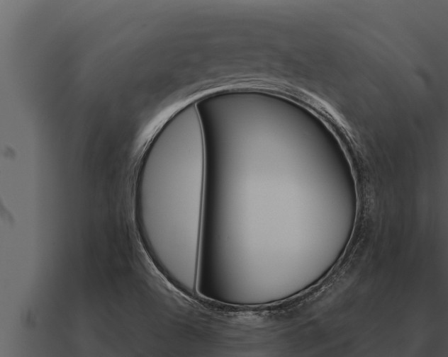 X0000091101504200708061010