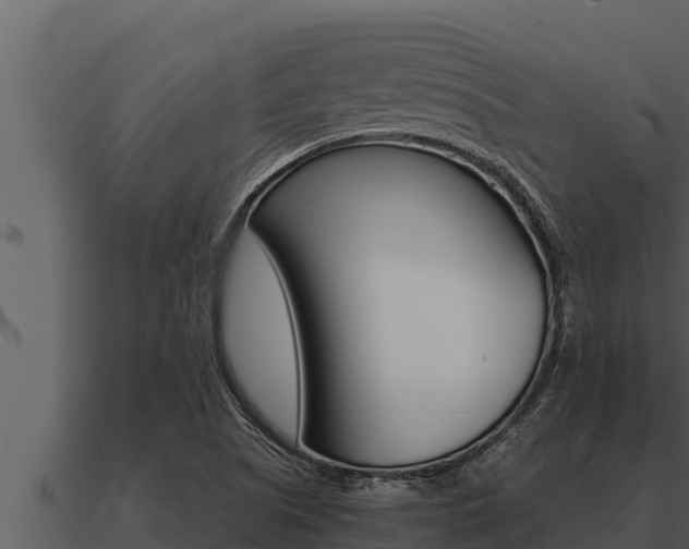 X0000091101505200708061010