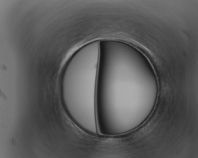 X0000091101506200708061010