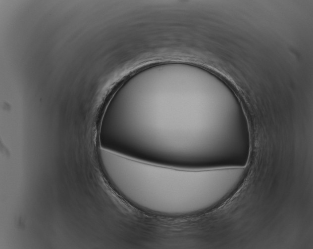 X0000091101507200708061010