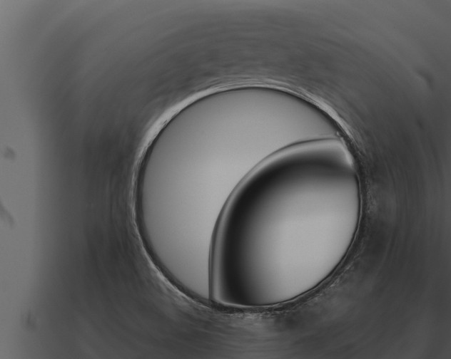 X0000091101508200708061010