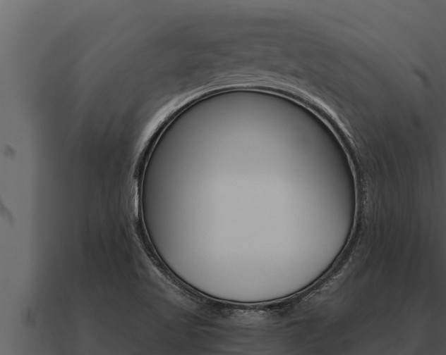 X0000091101509200708061010