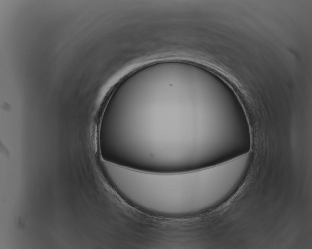 X0000091101510200708061010