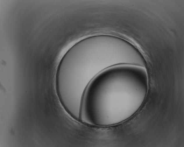 X0000091101512200708061010