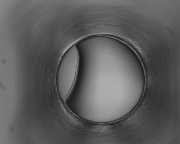 X0000091101513200708061010