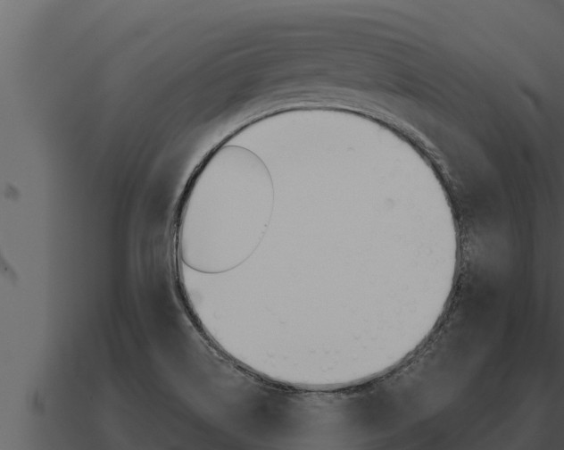 X0000091101514200708061010