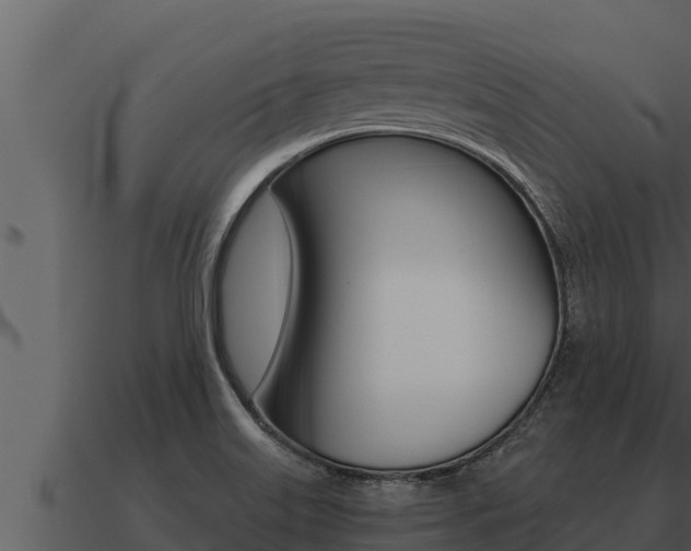 X0000091101515200708061010
