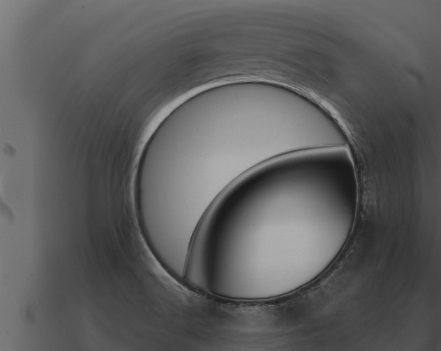 X0000091101516200708061010