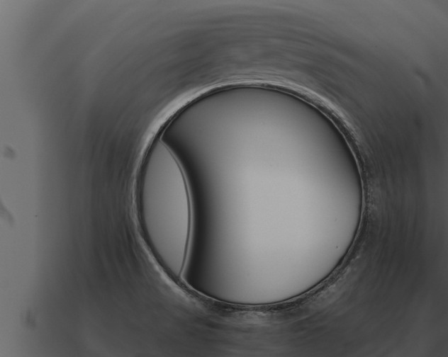 X0000091101517200708061010