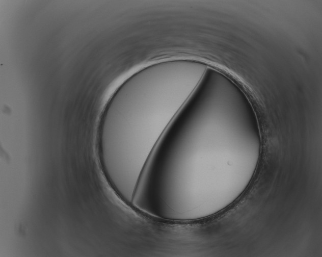 X0000091101518200708061010