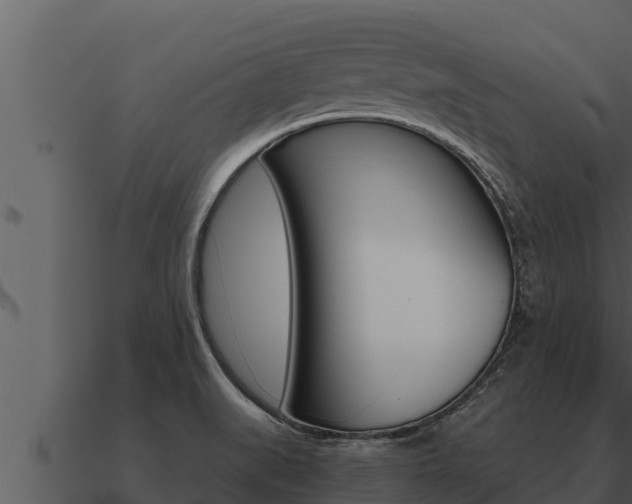X0000091101519200708061010