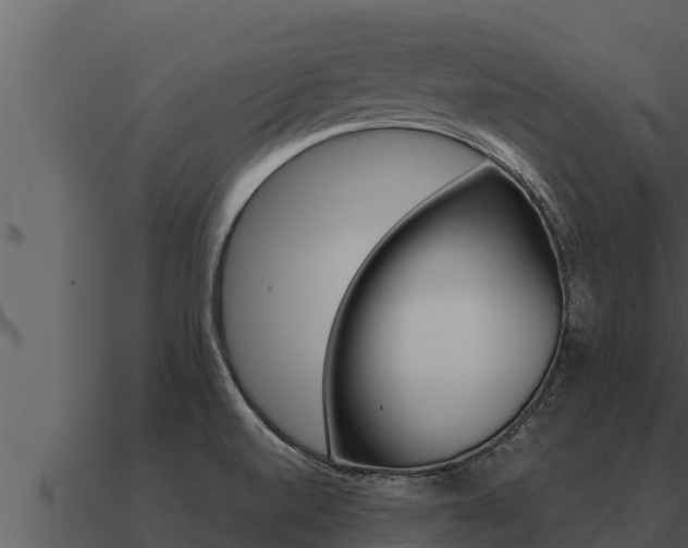 X0000091101520200708061010