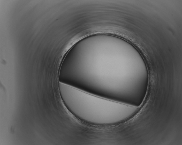 X0000091101521200708061010