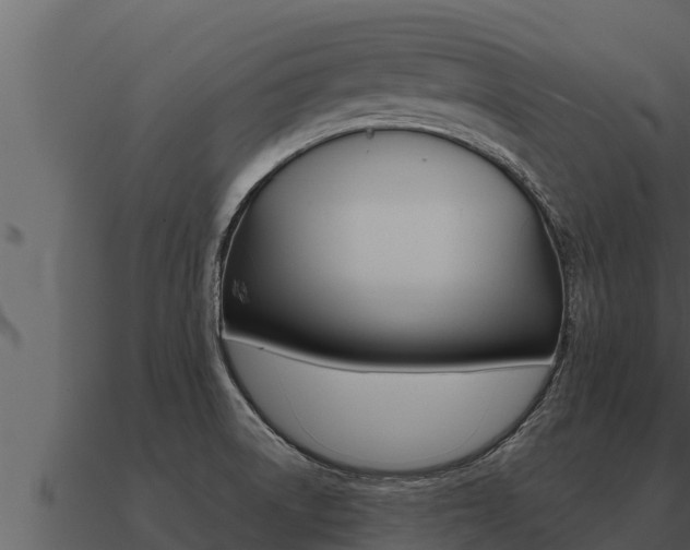 X0000091101522200708061010