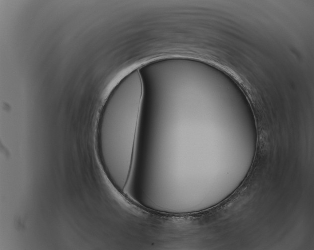 X0000091101523200708061010