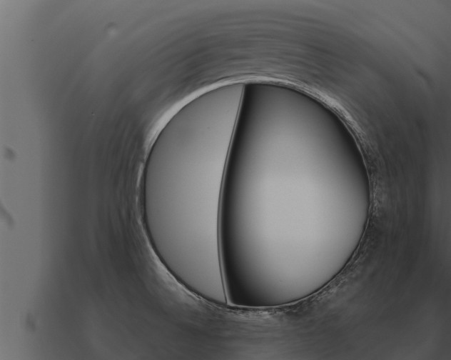 X0000091101524200708061010