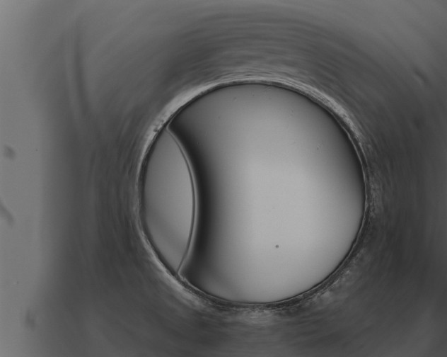 X0000091101525200708061010