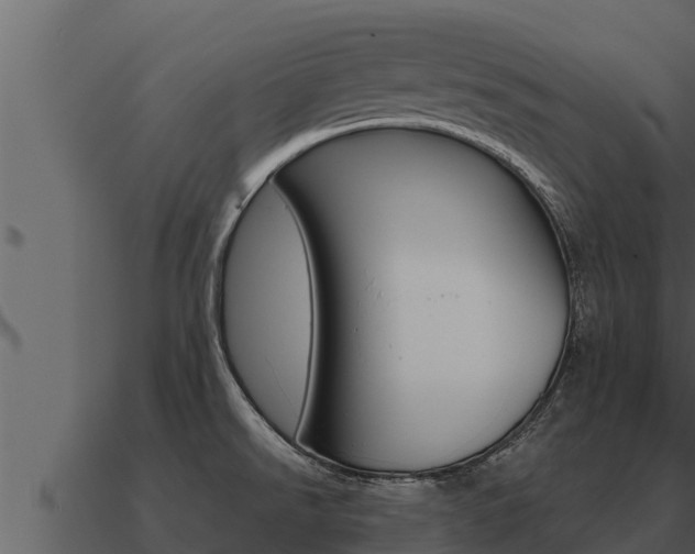 X0000091101526200708061010