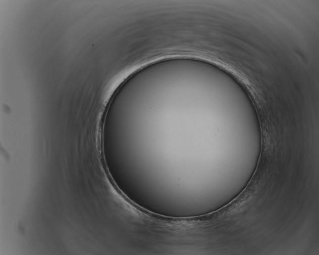 X0000091101527200708061010