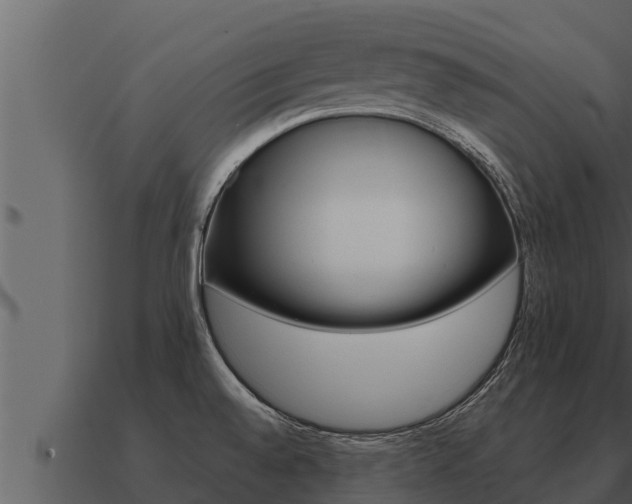 X0000091101528200708061010