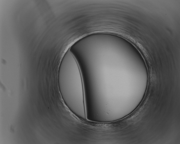 X0000091101529200708061010