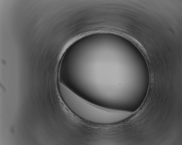 X0000091101530200708061010
