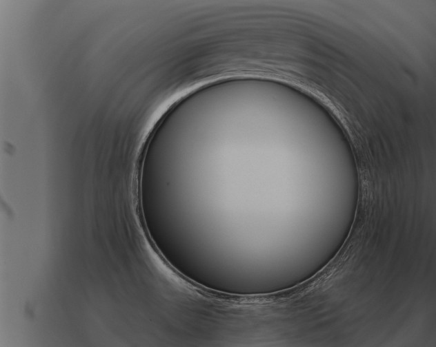 X0000091101531200708061010