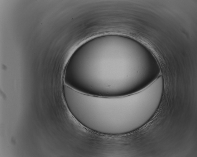 X0000091101532200708061010