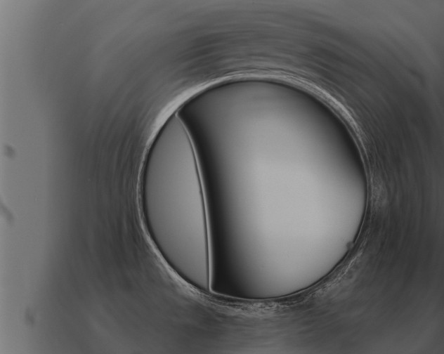 X0000091101533200708061010