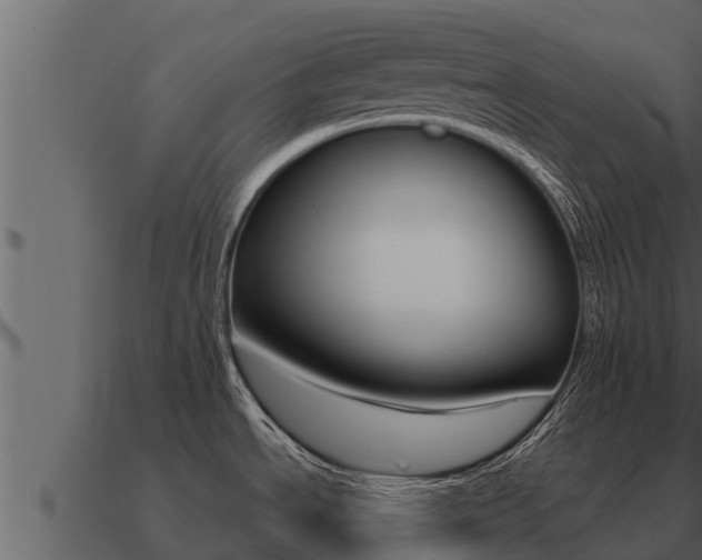 X0000091101534200708061010