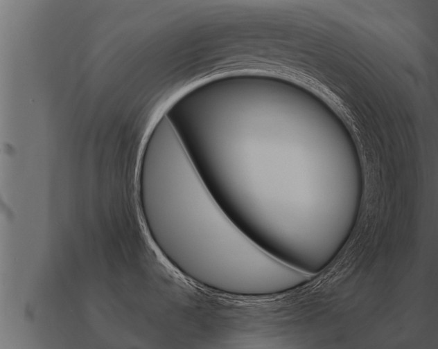 X0000091101536200708061010