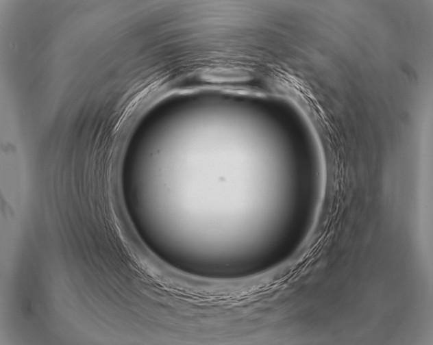 X0000091100001200708061429