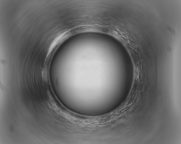 X0000091100004200708061429