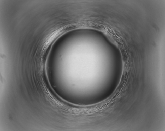 X0000091100005200708061429